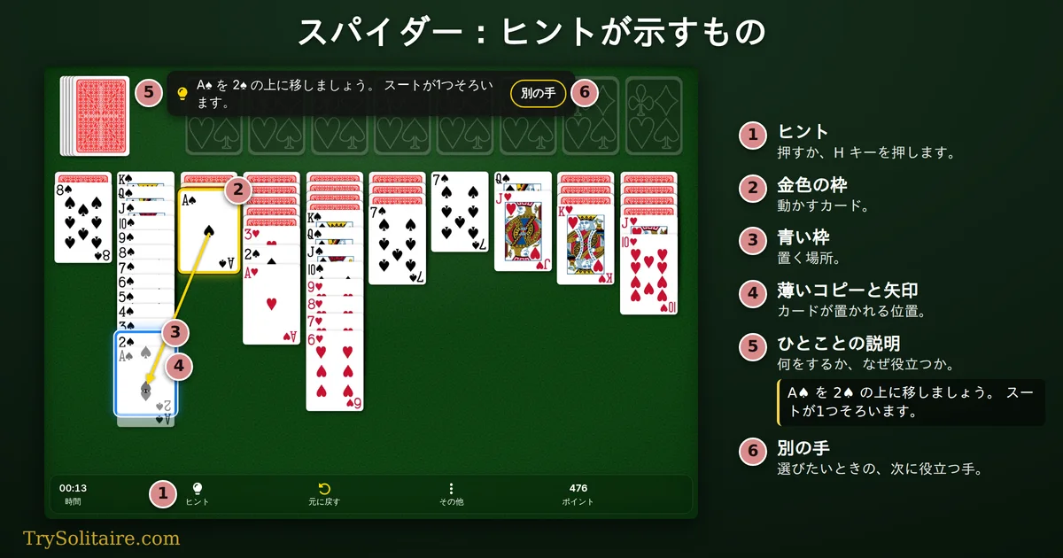 2 スートのスパイダーのヒント：金色の枠で囲まれた A♠、長いスペードの列の端で青い枠に囲まれた 2♠、その間の矢印、そして「A♠ を 2♠ の上に移しましょう。 スートが1つそろいます。」という説明文